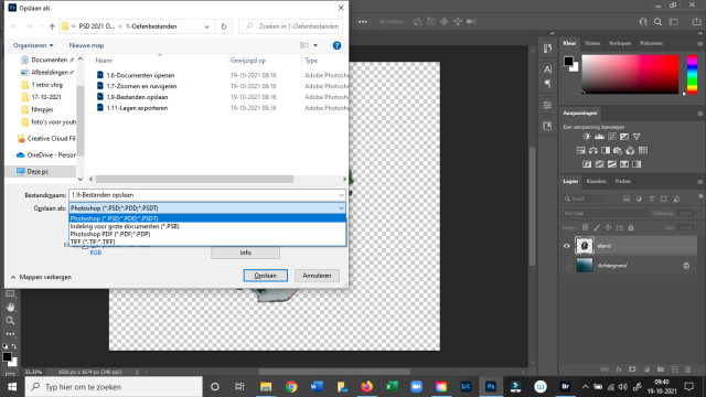 Solved: Want to save as in jpeg or png, but can't save as ...