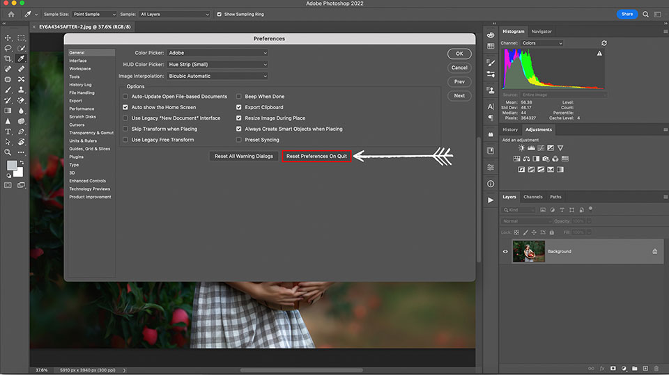 How To Reset the Photoshop Preferences File - Greater Than Gatsby